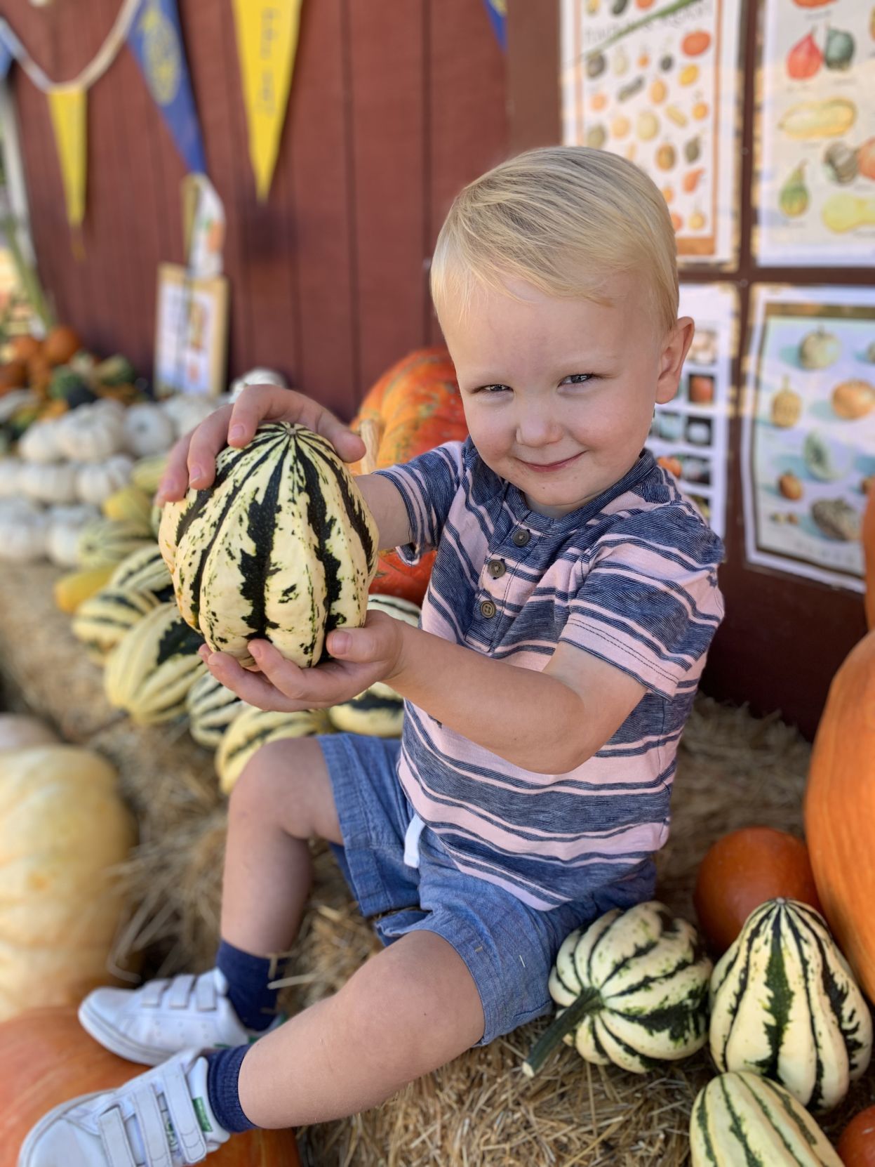 Picking Pumpkins 2019